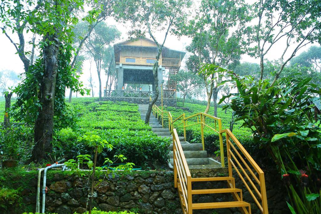 Holiday Vagamon Bilik gambar